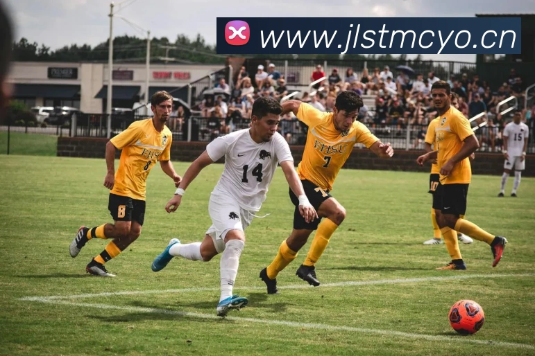 星空平台app官网入口平台生态图