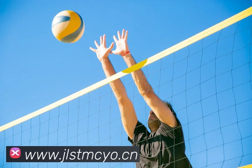 星空平台app官网入口APP 封面图